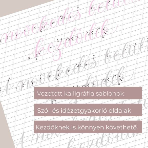 Tavaszi Kalligráfia Digitális Munkafüzet-A betűk ébredése